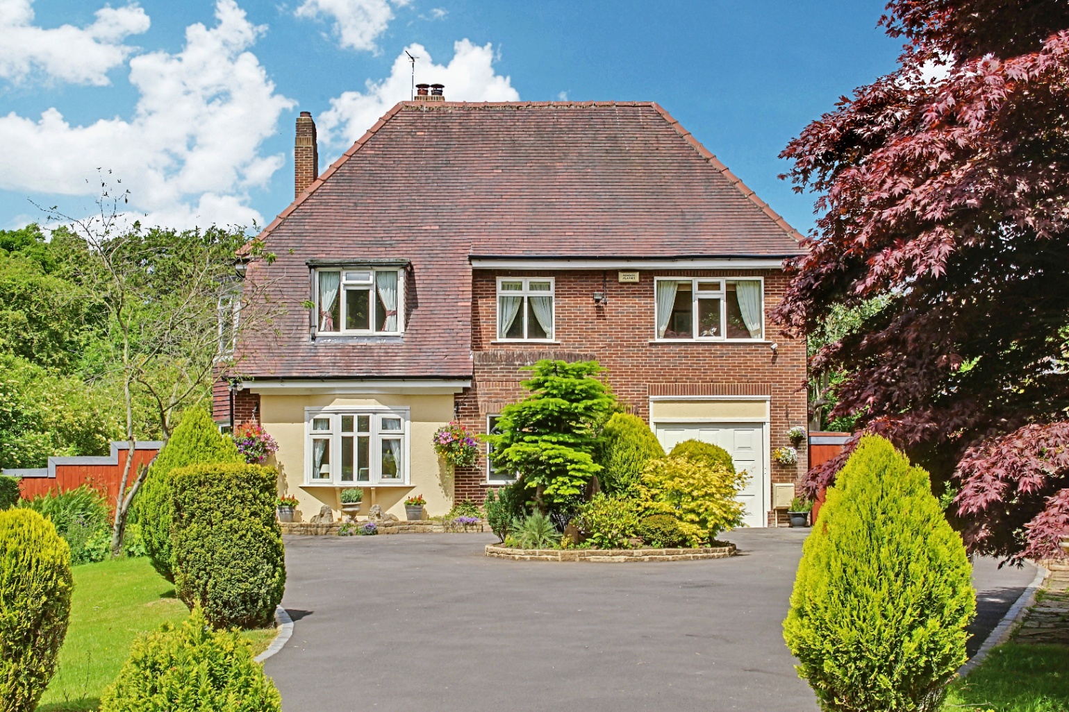 Search Results Harvey Brooks